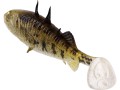 Guma Westin Stanley the Stickleback Shadtail_SUM-Radzymin.jpg