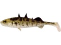 Guma Westin Stanley the Stickleback Shadtail Stickleback_SUM-Radzymin.jpg