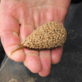 Zestaw Drennan In-Line Flat Method Feeder Large 25g_SUM-Radzymin_06.png