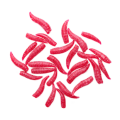 Sztuczny Robak Drennan Buoyant Maggot Czerwony_02_SUM-Radzymin.png