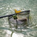 Kosz do podbieraka Matrix Carp Scoop Landing Net_SUM-Radzymin_10.jpg