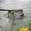 Kosz do podbieraka Matrix Carp Scoop Landing Net_SUM-Radzymin_11.jpg