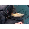 Podbierak Preston Carp XS Landing Net_SUM-Radzymin_08.jpeg