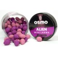 osmo-mini-larwa-alien_SUM-Radzymin_03.jpeg