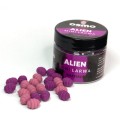 osmo-mini-larwa-alien_SUM-Radzymin_04.jpeg