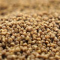 osmo-disc-pellets-08kg-SUM-Radzymin_06.jpeg