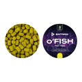 PRZYNETA_METHOD_FEEDER_BAITNOW_OFISH_WAFTERS_NBUTYRIC_CORN_8_SUM_RADZYMIN_04.jpg