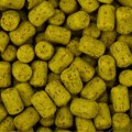 PRZYNETA_METHOD_FEEDER_BAITNOW_OFISH_WAFTERS_NBUTYRIC_CORN_8_SUM_RADZYMIN_05.jpg