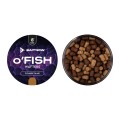 PRZYNETA_METHOD_FEEDER_BAITNOW_OFISH_WAFTERS_FISH_BETAINE_8_SUM_RADZYMIN_01.jpg