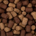 PRZYNETA_METHOD_FEEDER_BAITNOW_OFISH_WAFTERS_FISH_BETAINE_8_SUM_RADZYMIN_05.jpg