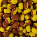 PRZYNETA_METHOD_FEEDER_BAITNOW_YOLO_WAFTERS_COARSE_CORN_SUM_RADZYMIN_05.jpg