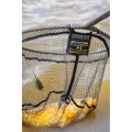 Podbierak Preston Carbon F1 Latex Landing Net SUM-Radzymin_04.jpeg