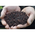 Pellet Sonubaits Halibut Pellets 900g Spicy Sausage 3mm_SUM-Radzymin_02.jpeg
