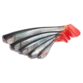 Przynęta Fox Rage Zander Pro Shads Natural Roach_SUM-Radzymin_02.jpeg
