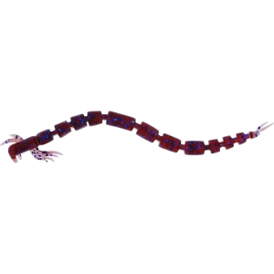 Przynęta Westin BloodTeez Worm 5,5cm 0,5g Indigo UV